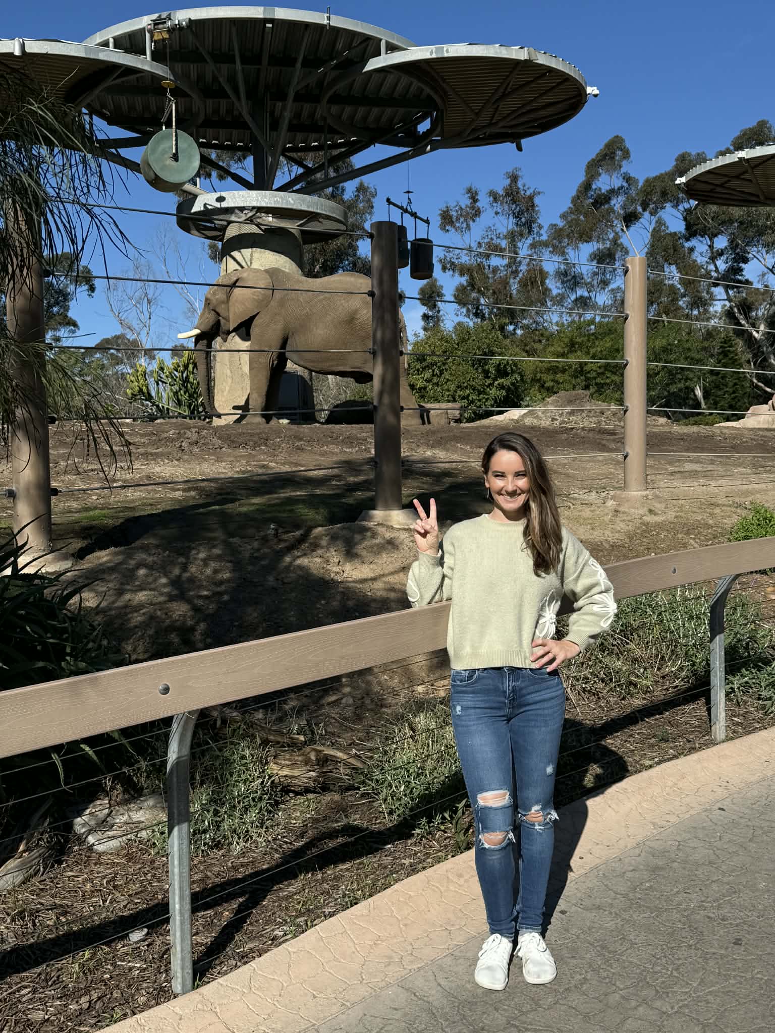 California Christmas photo 13