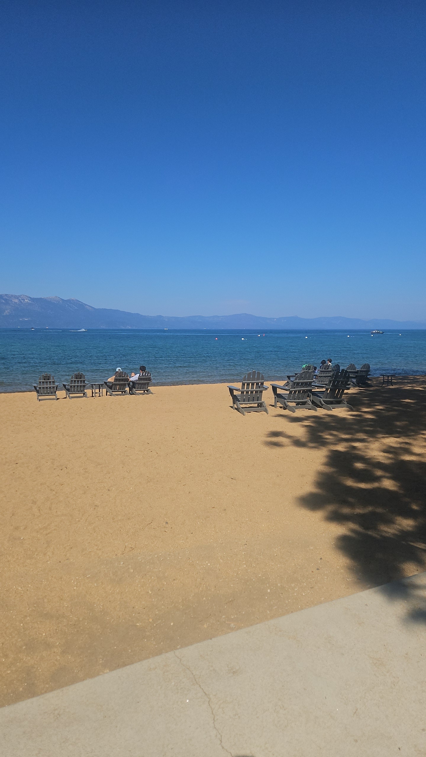 Northern California Road Trip & Lake Tahoe Proposal 💍