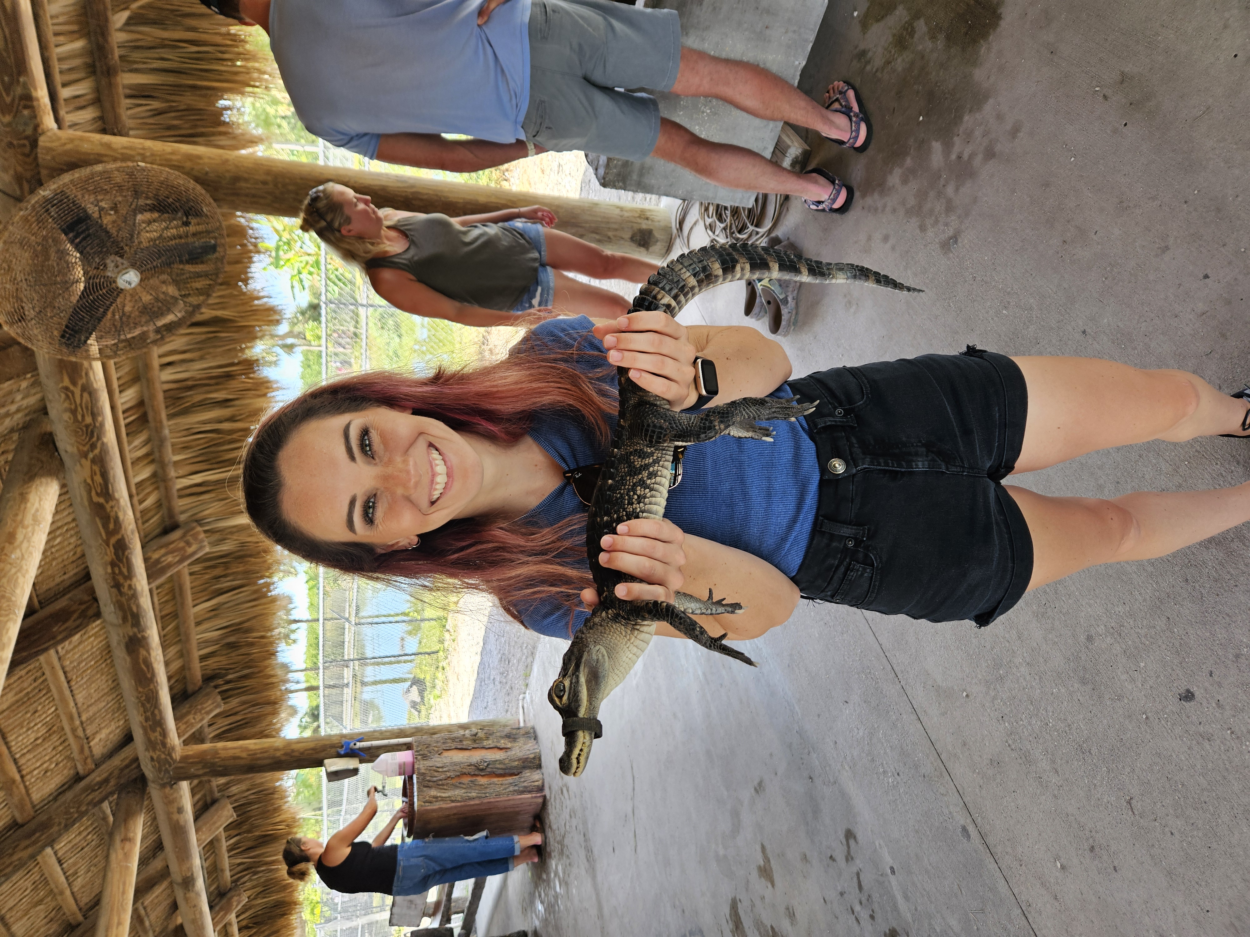 Everglades & The Keys photo 14