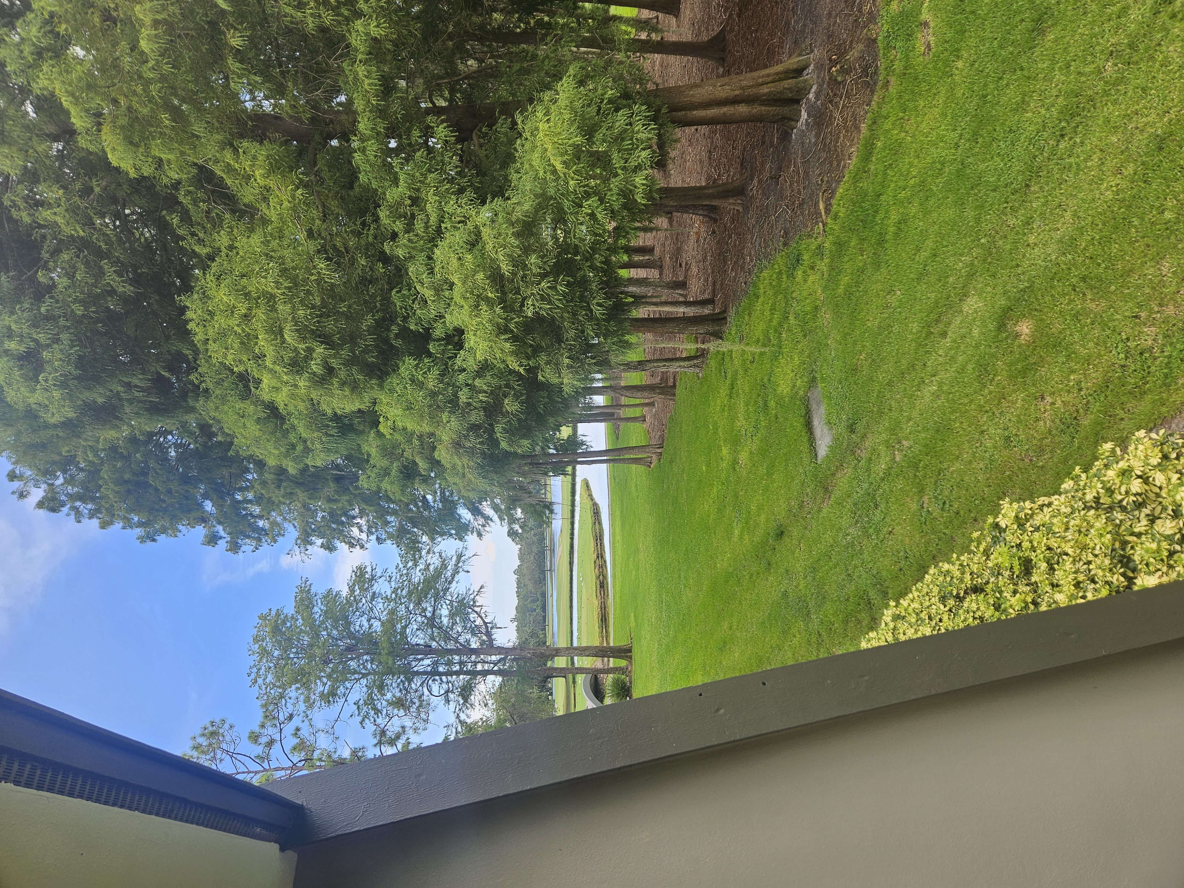 Jared's 31st Birthday! 🎂