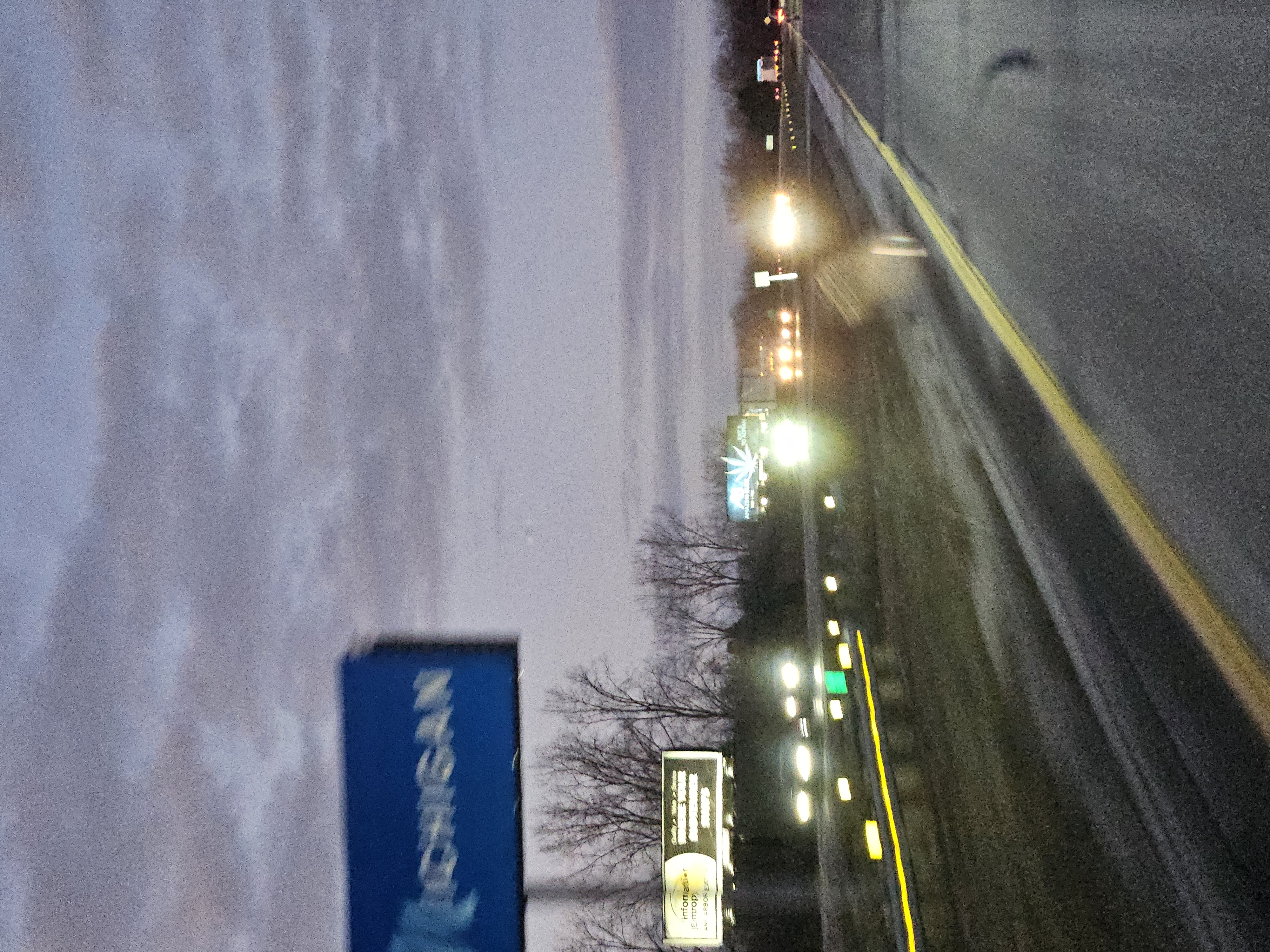 Michigan Christmas photo 2