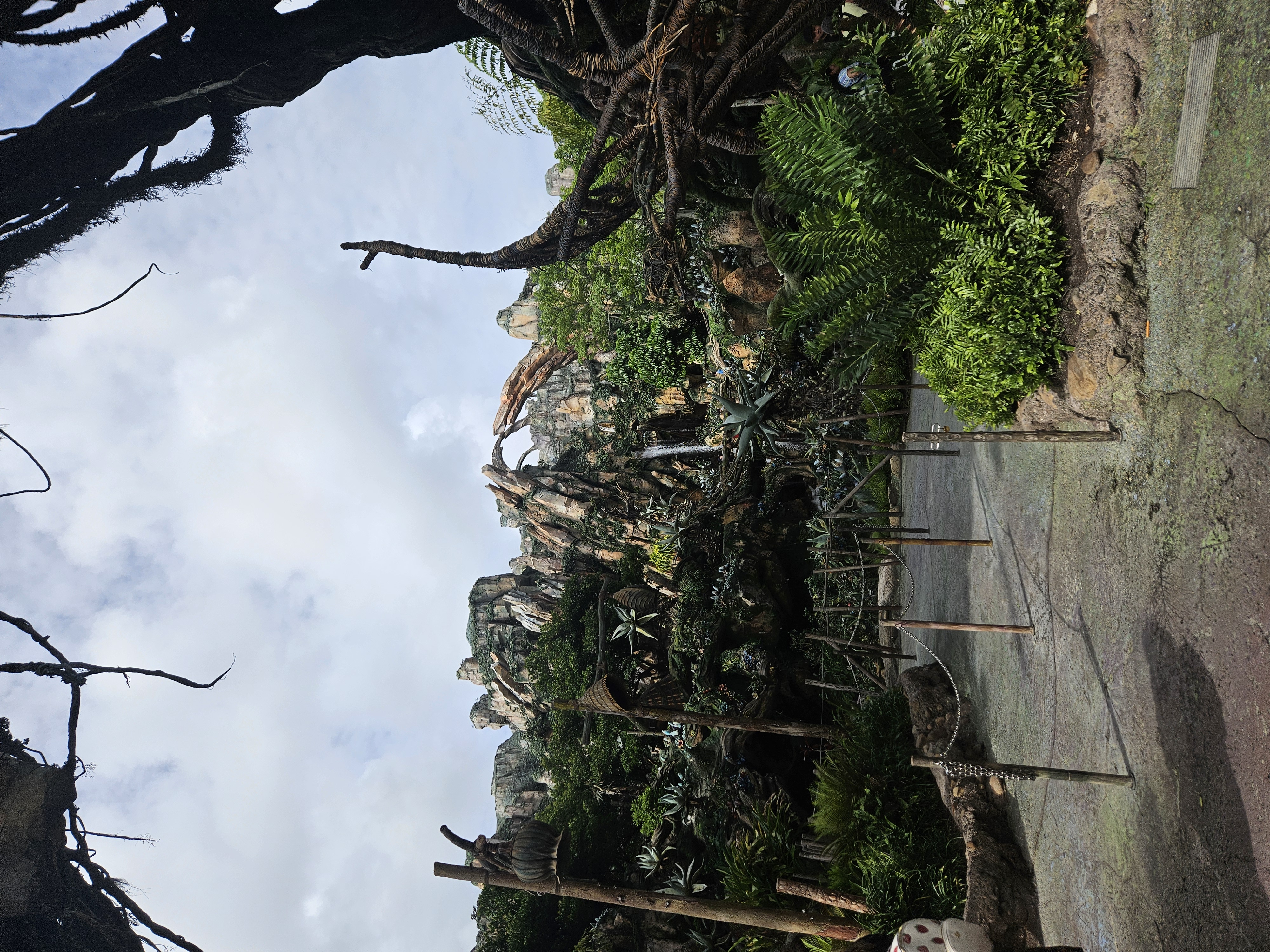 Nick Visits in June! ⛱️