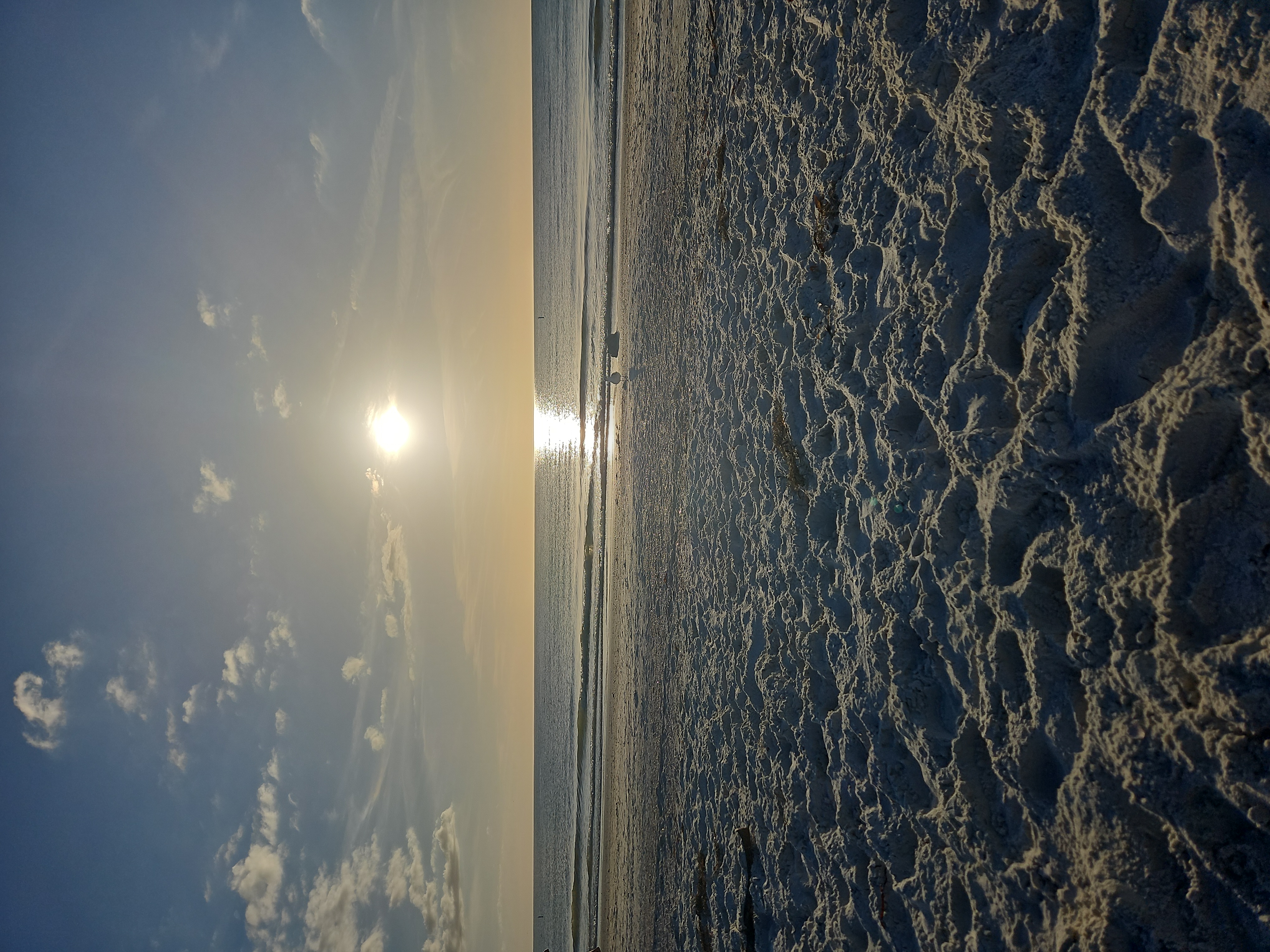 Niko Visits in December 2024! 🎁