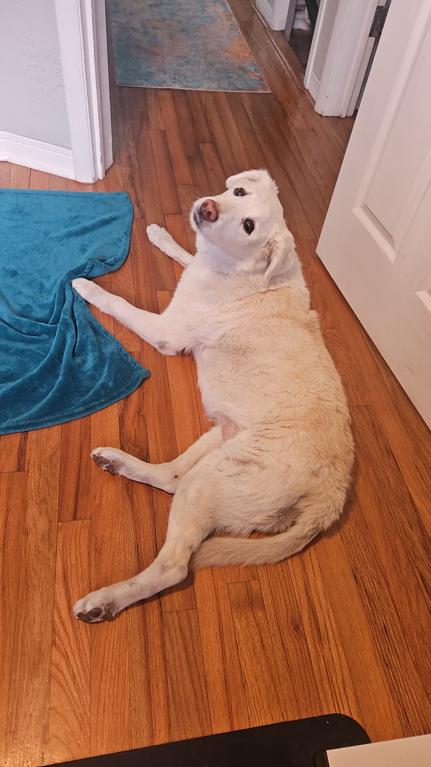 Ellie